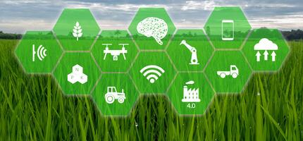 IoT Gateway in Farm Environmental Monitoring